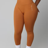 COMPACT SEAMLESS LEGGINGS bodywerkz 